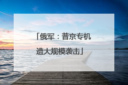 俄军：普京专机遭大规模袭击