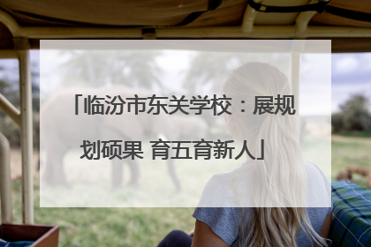 临汾市东关学校：展规划硕果 育五育新人