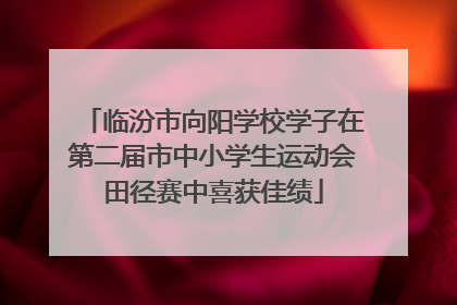 临汾市向阳学校学子在第二届市中小学生运动会田径赛中喜获佳绩