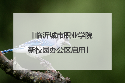 临沂城市职业学院新校园办公区启用