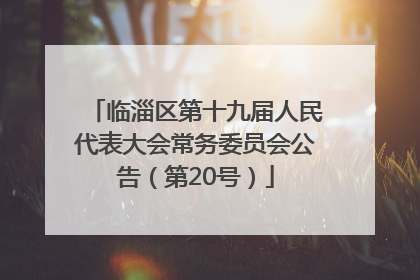 临淄区第十九届人民代表大会常务委员会公告（第20号）