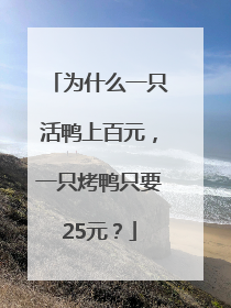 为什么一只活鸭上百元，一只烤鸭只要25元？