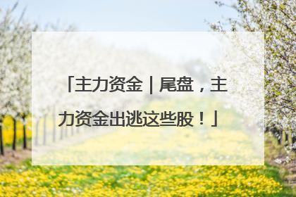 主力资金｜尾盘，主力资金出逃这些股！