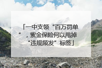 一中支领“百万罚单”，紫金保险何以甩掉“违规频发”标签