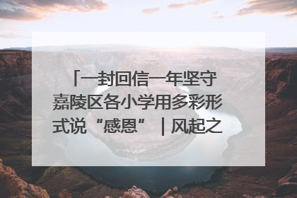 一封回信一年坚守 嘉陵区各小学用多彩形式说“感恩”｜风起之江 扶摇直上