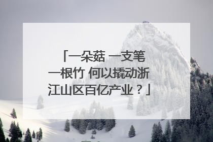 一朵菇 一支笔 一根竹 何以撬动浙江山区百亿产业？