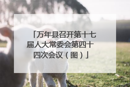 万年县召开第十七届人大常委会第四十四次会议（图）
