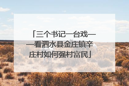 三个书记一台戏——看泗水县金庄镇辛庄村如何强村富民