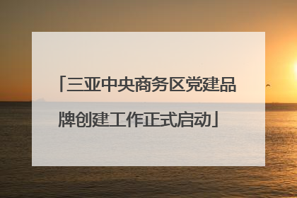三亚中央商务区党建品牌创建工作正式启动
