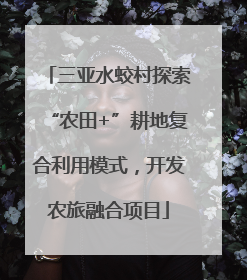 三亚水蛟村探索“农田+”耕地复合利用模式，开发农旅融合项目
