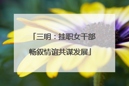 三明：挂职女干部畅叙情谊共谋发展