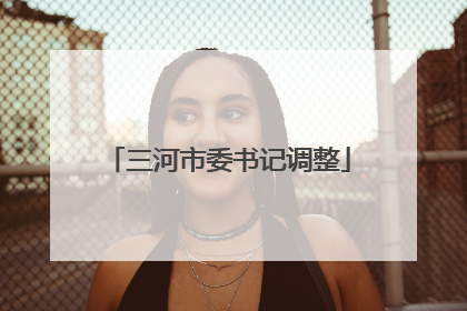 三河市委书记调整