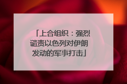 上合组织：强烈谴责以色列对伊朗发动的军事打击