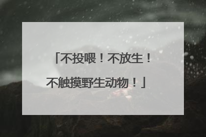 不投喂！不放生！不触摸野生动物！