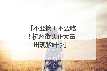 不要摘！不要吃！杭州街头正大量出现紫叶李
