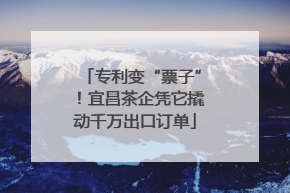 专利变“票子”！宜昌茶企凭它撬动千万出口订单
