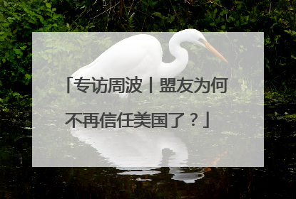 专访周波丨盟友为何不再信任美国了？