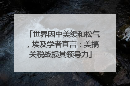 世界因中美缓和松气，埃及学者直言：美搞关税战损其领导力