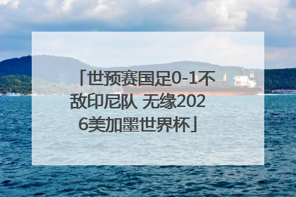 世预赛国足0-1不敌印尼队 无缘2026美加墨世界杯