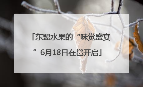 东盟水果的“味觉盛宴”6月18日在邕开启