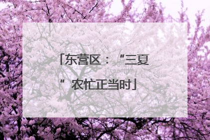 东营区：“三夏”农忙正当时