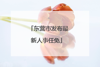 东营市发布最新人事任免