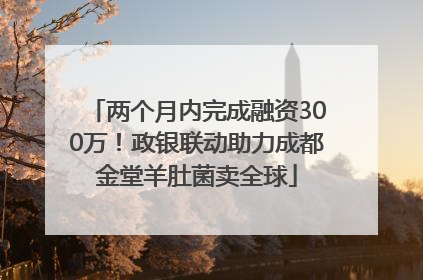 两个月内完成融资300万！政银联动助力成都金堂羊肚菌卖全球