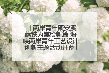 两岸青年聚安溪 藤铁为媒绘新篇 海峡两岸青年工艺设计创新主题活动开幕