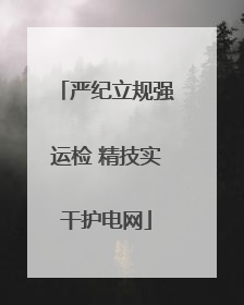 严纪立规强运检 精技实干护电网