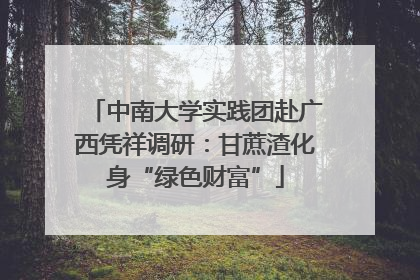 中南大学实践团赴广西凭祥调研：甘蔗渣化身“绿色财富”
