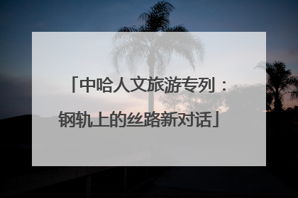 中哈人文旅游专列：钢轨上的丝路新对话