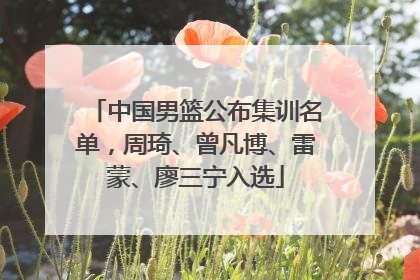 中国男篮公布集训名单，周琦、曾凡博、雷蒙、廖三宁入选
