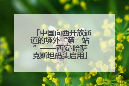 中国向西开放通道的境外“第一站”——西安·哈萨克斯坦码头启用