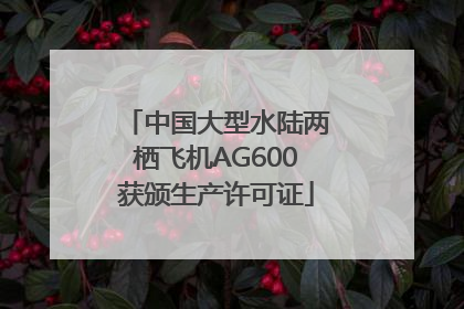 中国大型水陆两栖飞机AG600获颁生产许可证