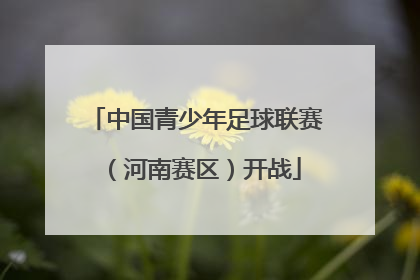 中国青少年足球联赛（河南赛区）开战