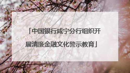 中国银行咸宁分行组织开展清廉金融文化警示教育