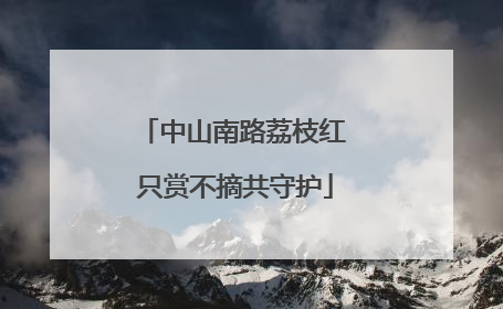 中山南路荔枝红 只赏不摘共守护