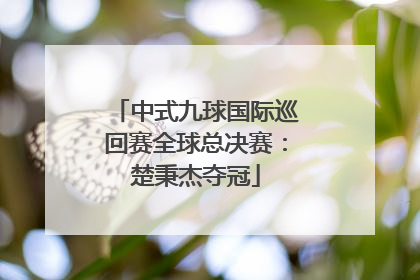 中式九球国际巡回赛全球总决赛：楚秉杰夺冠