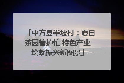 中方县半坡村：夏日茶园管护忙 特色产业绘就振兴新图景