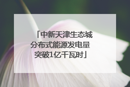 中新天津生态城分布式能源发电量突破1亿千瓦时