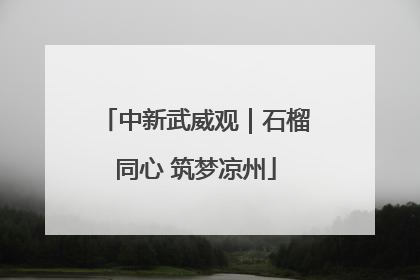 中新武威观｜石榴同心 筑梦凉州