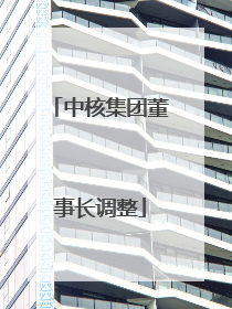 中核集团董事长调整