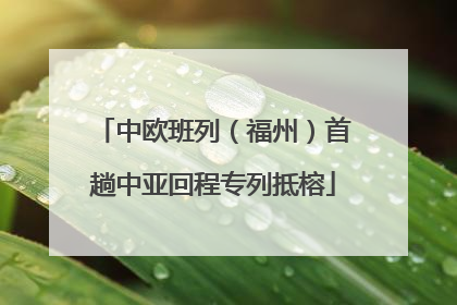 中欧班列（福州）首趟中亚回程专列抵榕