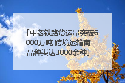 中老铁路货运量突破6000万吨 跨境运输商品种类达3000余种