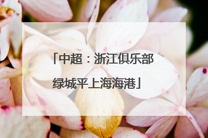 中超：浙江俱乐部绿城平上海海港