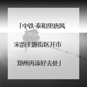 中铁·泰和里唐风宋韵主题街区开市 郑州再添好去处