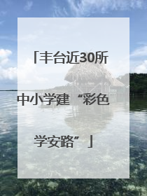 丰台近30所中小学建“彩色学安路”