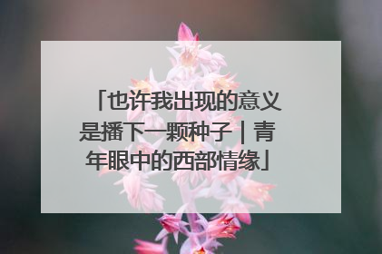 也许我出现的意义是播下一颗种子｜青年眼中的西部情缘