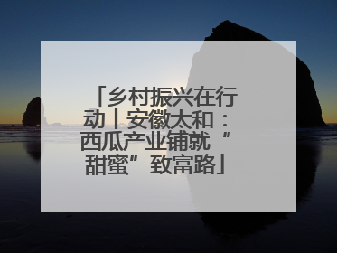 乡村振兴在行动丨安徽太和：西瓜产业铺就“甜蜜”致富路