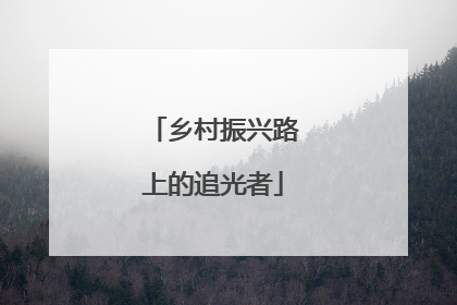 乡村振兴路上的追光者